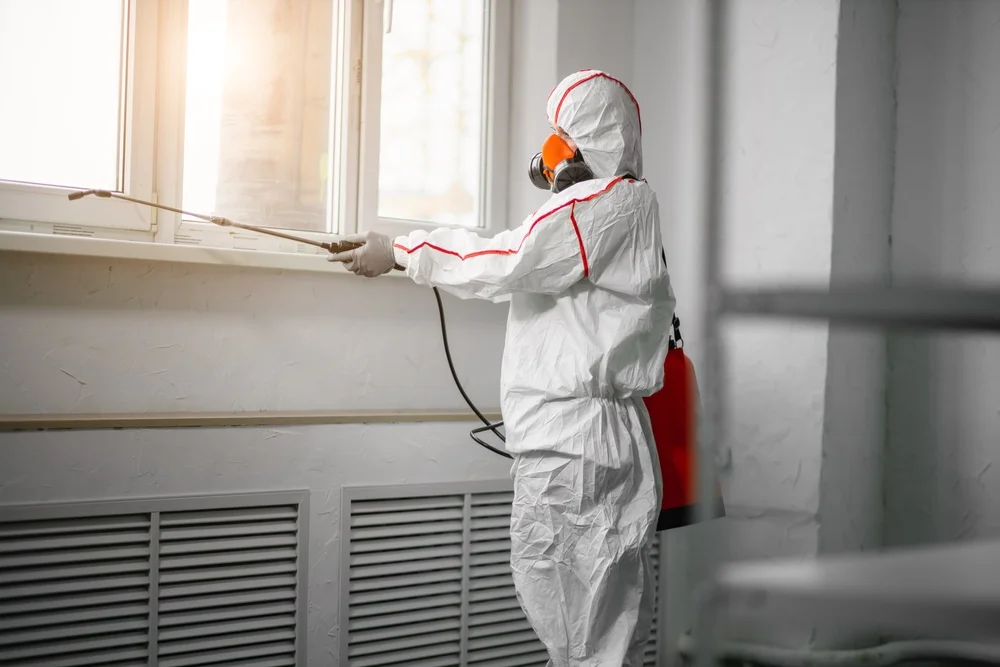 Professional mold remediation services in West Simsbury, CT